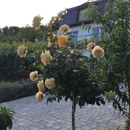 바트키싱엔 Idyllisches Wohnen Weinberg 아파트 외부 사진