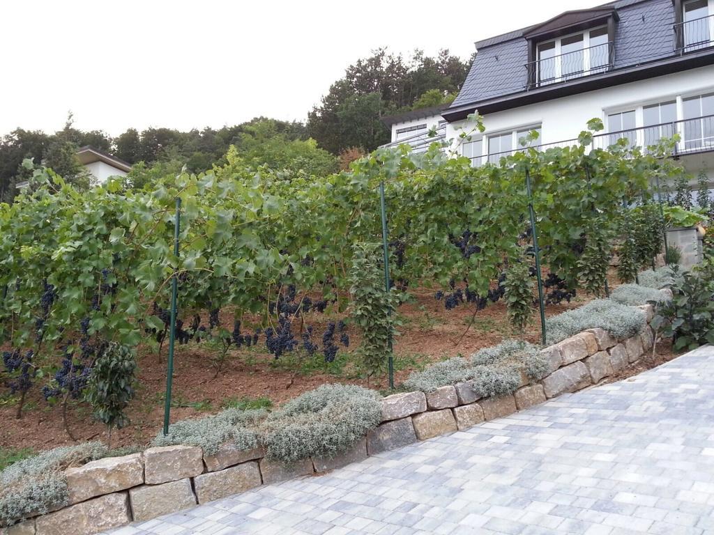 바트키싱엔 Idyllisches Wohnen Weinberg 아파트 객실 사진