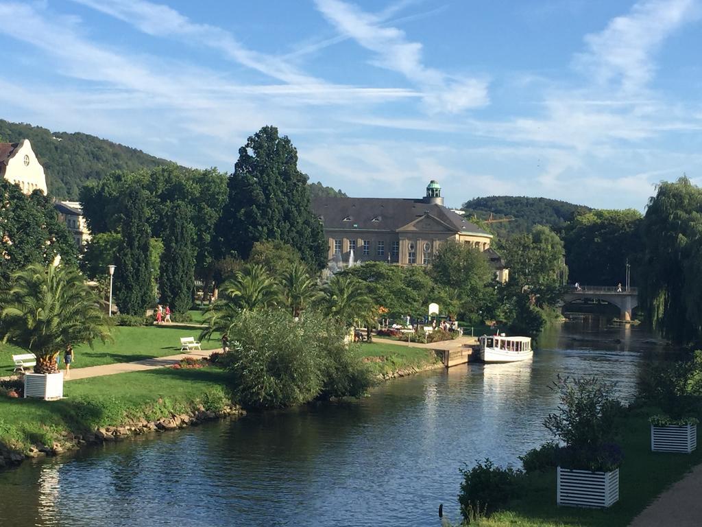 바트키싱엔 Idyllisches Wohnen Weinberg 아파트 객실 사진