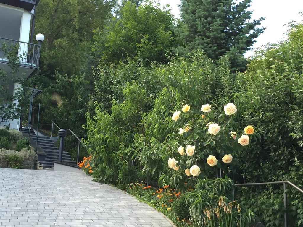 바트키싱엔 Idyllisches Wohnen Weinberg 아파트 객실 사진